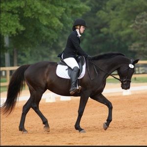 ISO Equestrian Summer clothes